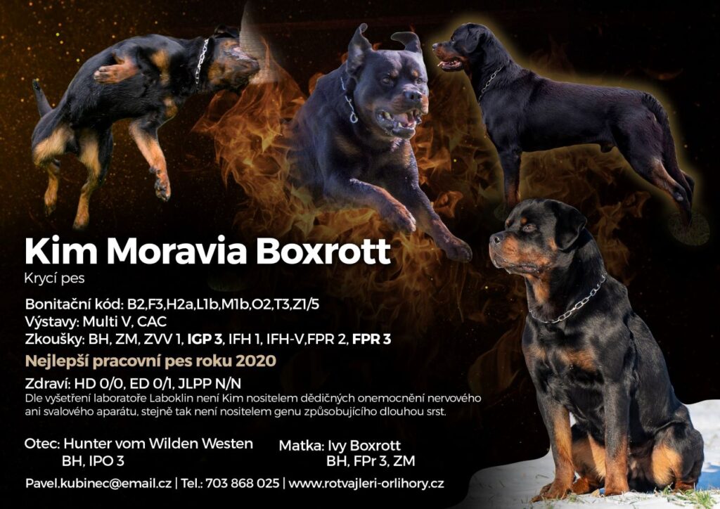 Kim moravia Boxrott krycí leták